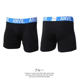 クロネコゆうパケット対応 ANVIL アンヴィ...の詳細画像4