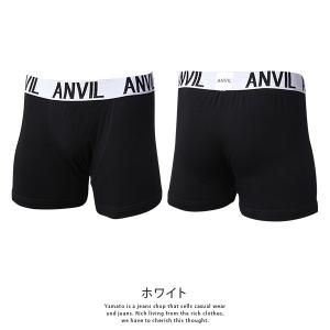 クロネコゆうパケット対応 ANVIL アンヴィ...の詳細画像5