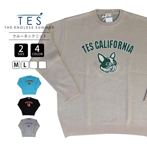 TES Tシャツ テス ニット TES COLLEGE BUHI CREWNECK KNIT クルー...