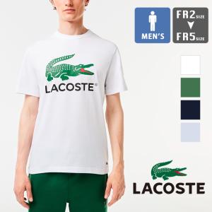 【 LACOSTE ラコステ 】 ワニロゴ グラフィック プリント Tシャツ TH6396-99 / 2024SUMMER｜jeansstation