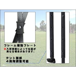タープテント 3m×6m 4面 横幕付き ビッ...の詳細画像4