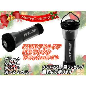 LEDランタン 小型 懐中電灯 キャンピングライト トーチライト