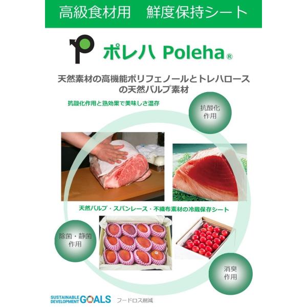 果物、魚、肉などの高級食材用鮮度保持シート「ポレハ Poleha」業務用１００枚