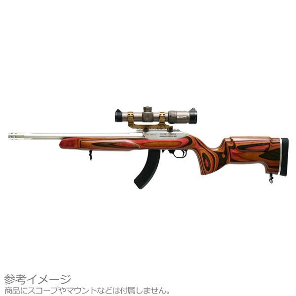 ガスブローバックライフル CL Project Design × A+ Airsoft 10/22(...