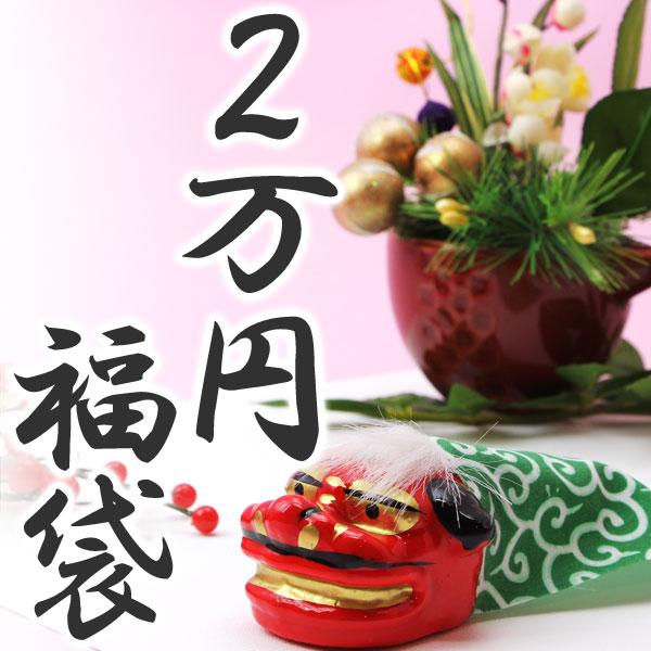 予約券◆福袋 長物系ガン1本が必ず入る！2万円 福袋 【必ず1点ずつご注文ください】同梱・代引き不可