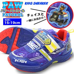 パウパトロール  PAW PATROL 70123 キッズ スニーカー ブルー　青 チェイス 幼稚園 保育園 男児 子供靴  軽量　柔らか｜jefferywest