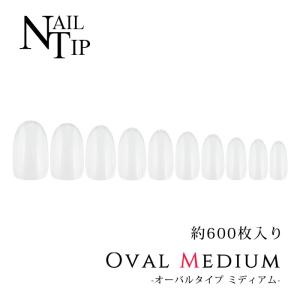 KOIZUMI（コイズミ） PriNail プリネイル 専用 プリコート KNP-A012