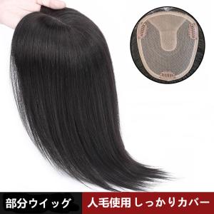 部分ウィッグ ウィッグ ヘアピース 人毛100％ リアル皮膚 T型 手植え 白髪隠れ 増毛 簡単 自然 20CM