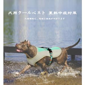 Jellykeystyle 冷却グッズ 犬用 Yahoo ショッピング