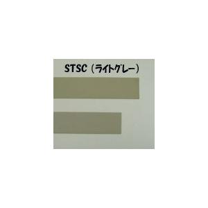 STSC-2　ABS薄板棒（ライトグレー）厚み：0.8mm　プラストラクト Plastruct プラ...