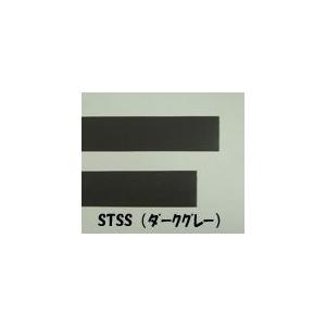 STSS-1　ABS薄板棒（ダークグレー）厚み：0.5mm　プラストラクト Plastruct プラ...