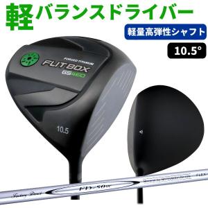 SWIX（スウィックス） ブラシ T0016P ロト ワイルドボアブラシ100mm