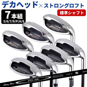 12/7(日)23:59までポイント+4％ アイアンセット (FD-60：標準シャフト