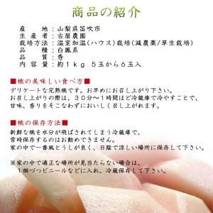 遅れてごめんね 母の日 桃 プレゼント ギフト...の詳細画像1
