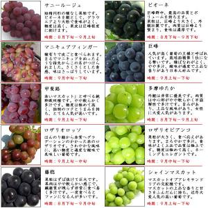 シャインマスカット ぶどう 贈答用 山梨県産 ...の詳細画像5