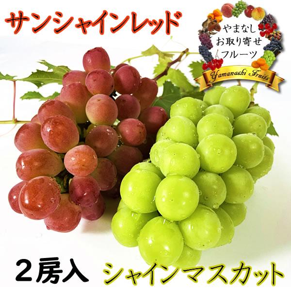 サンシャインレッドとシャインマスカット ぶどう詰め合わせ セット 各1房 ２房入 山梨県産 産地直送...