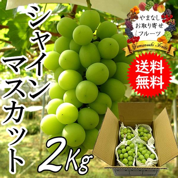 シャインマスカット ぶどう 贈答用 山梨県産 フルーツ ギフト 約2kg 送料無料※一部を除く 内祝...