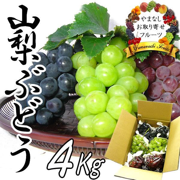 ギフト 山梨産 ぶどう ３種お任せ詰合せ 4kg 送料無料※一部を除く ブドウ シャインマスカット ...