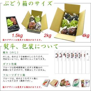 ギフト 山梨産 ぶどう 3種お任せ詰合せ 4k...の詳細画像3