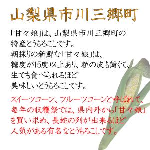 父の日 お中元 甘々娘 とうもろこし かんかん...の詳細画像1