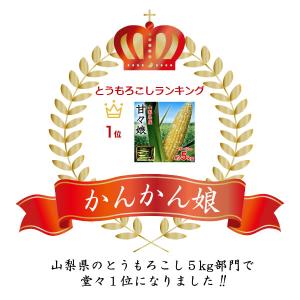父の日 お中元 甘々娘 とうもろこし かんかん...の詳細画像4