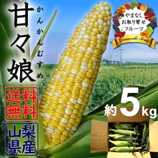 父の日 お中元 甘々娘 とうもろこし かんかん娘 ドルチェドリーム スイートコーン 山梨県産 5kg...