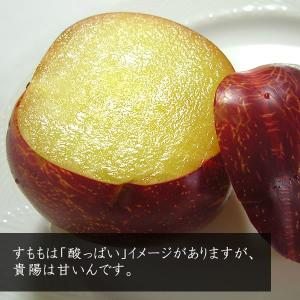 お中元 ギフト すもも 山梨産 貴陽(きよう)...の詳細画像2