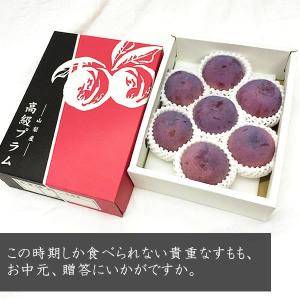 お中元 ギフト すもも 山梨産 貴陽(きよう)...の詳細画像4