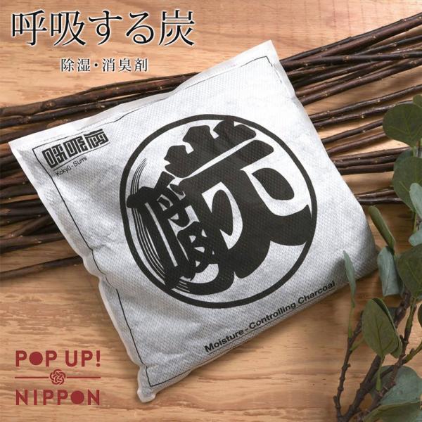 除湿剤 除湿 木炭 消臭剤 除湿剤 炭 湿気対策 下駄箱 消臭 エコ キッチン クローゼット ベッド...