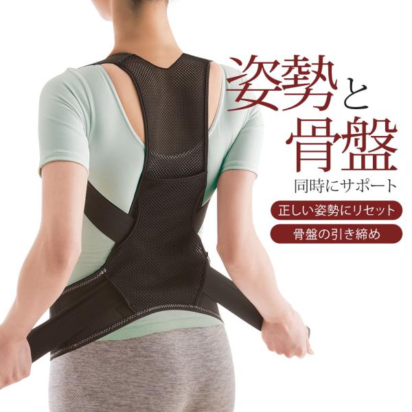 姿勢リセットベルト 姿勢 骨盤 引き締め サポート 背中 腰 ベルト 骨盤ベルト 骨盤矯正 姿勢矯正...