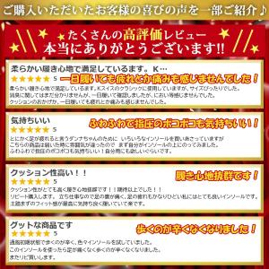 インソール 疲れない 衝撃吸収 中敷き 消臭 ...の詳細画像1