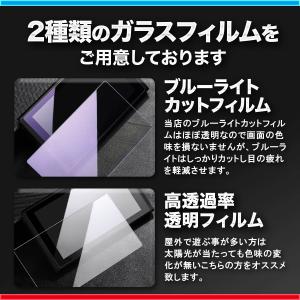 Switch 保護 フィルム スイッチ ガラス...の詳細画像5