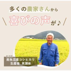 ミネチット 1L 液体肥料 有機JASの詳細画像2