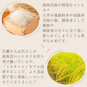 ミネチット 1L 液体肥料 有機JASの詳細画像4