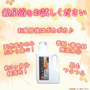 【パッケージリニューアルしました】ミネラル 鉱...の詳細画像4