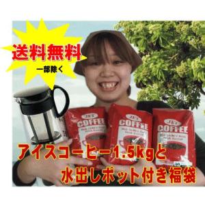 選べるアイスコーヒー 深煎り 1.5kg  ハリオ 水出しポット(600ml) 付き福袋