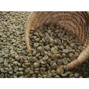 コーヒー生豆 タンザニア AA 5kg 大容量 まとめ買い【生豆】 : 三本