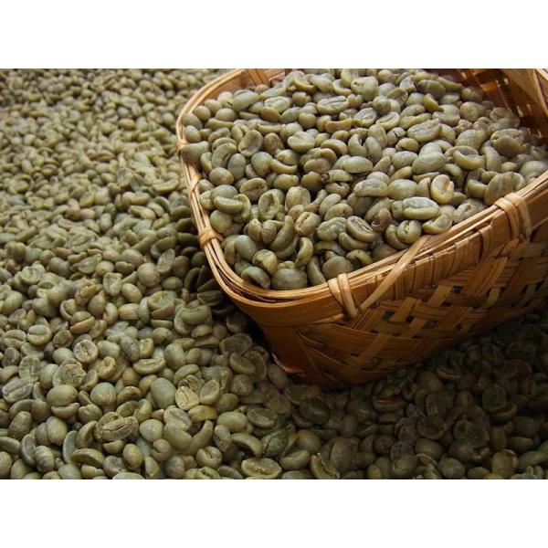 生豆 コーヒー 　コスタリカ　ジャガーハニー(2kg)