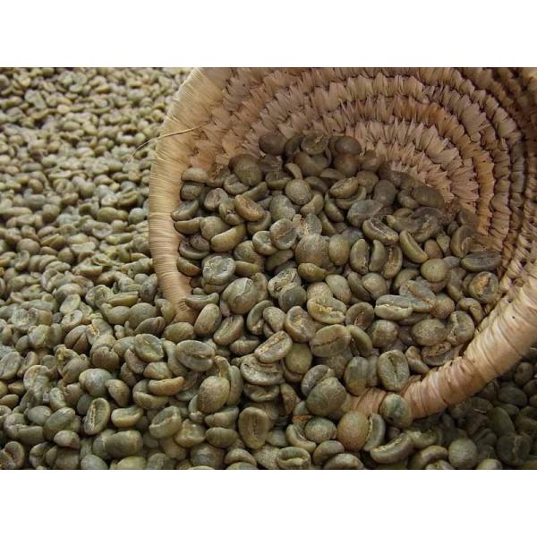 生豆 コーヒー　 ケニア　ＡＡ(2kg)
