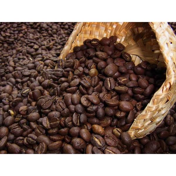 自家焙煎  コスタリカ　ジャガーハニー(2kg)