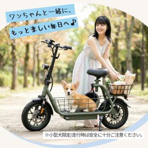 \20%OFF/ 爆買 公道走行可免許不要 ダ...の詳細画像5