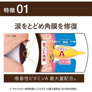 ≪5日はP2%≫【第2類医薬品】スマイル40 ...の詳細画像5