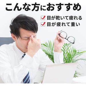 【第3類医薬品】スマイルザメディカルA DX ...の詳細画像3