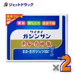 【第2類医薬品】恵命我神散 100g 4袋入 ×2個〔胃腸〕｜ジェットドラッグ
