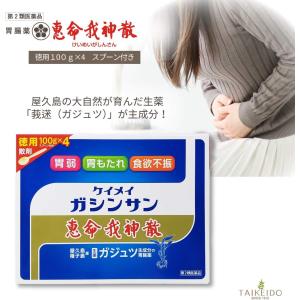 【第2類医薬品】恵命我神散 100g 4袋入 ...の詳細画像3
