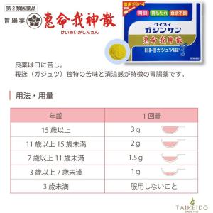 【第2類医薬品】恵命我神散 100g 4袋入 ...の詳細画像4
