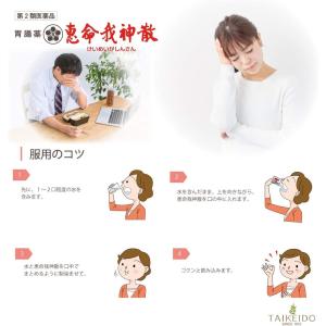 【第2類医薬品】恵命我神散 100g 4袋入 ...の詳細画像5