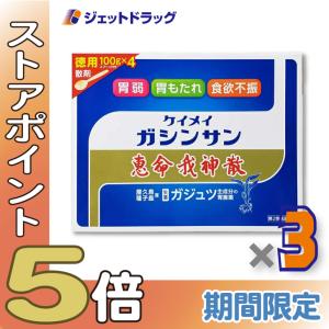 ≪爆買SALE！P5%≫【第2類医薬品】恵命我神散 100g 4袋入 ×3個〔胃腸〕｜ジェットドラッグ