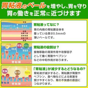 ≪超Pay祭P5%!≫【第2類医薬品】新セルベ...の詳細画像5