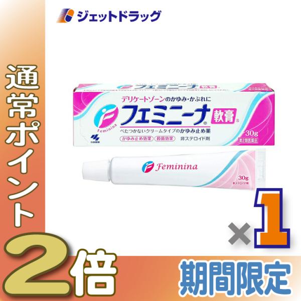 【第2類医薬品】〔かぶれ 皮膚炎〕 フェミニーナ軟膏S 30g ※セルフメディケーション税制対象